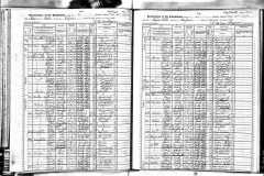 1905-NY-Census-Niagara-Falls-NY-with-Martin-Garvey-Family