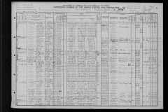 Garvey-Martin-Family-1910-US-Census-Niagara-Falls-NY